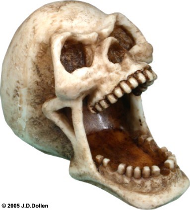 Skull Mouth